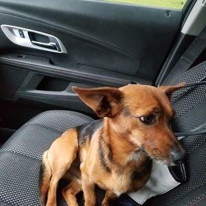 Meet your Posher, Amber